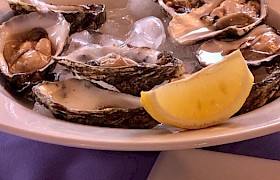 Oysters by Linda Jay